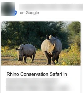 A Google Business Profile post showing a rhino photo with a headline, an example of a profile post that appears on Google